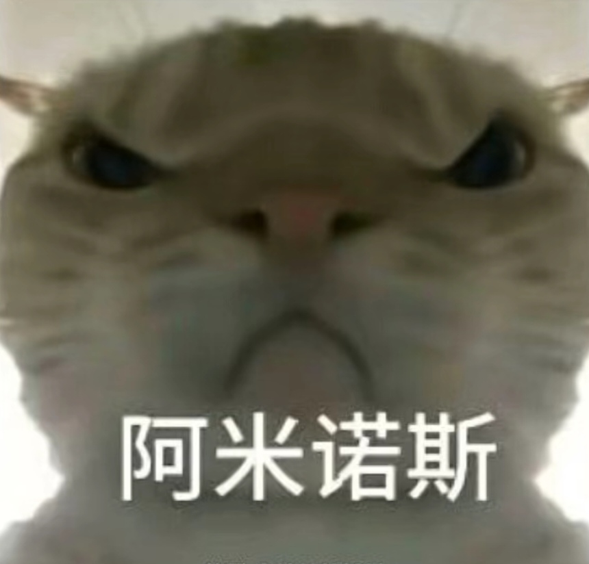 绝伦的足球 绝伦的足球